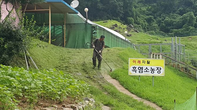 내농장을 깔끔하게~