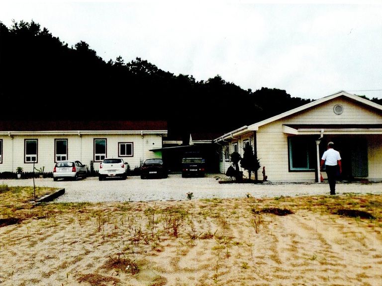 작년에 심은 대추나무가 많이 자랐는데, 올해 열매를 맺을지 모르겠네요?