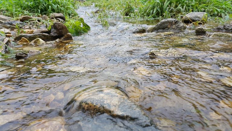 오랜 가뭄으로 매말랐던 교회 앞 개울에 물이 졸졸~