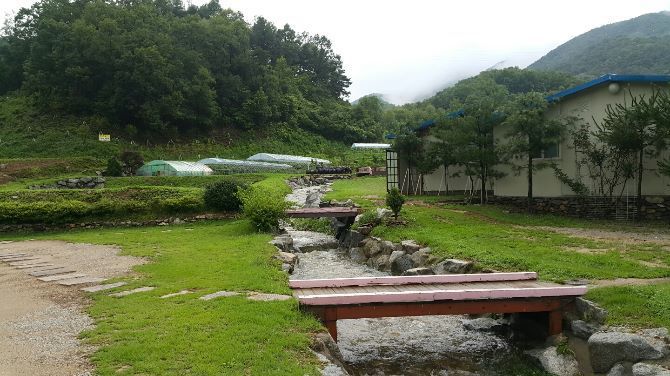 비가와서 참 좋으네요.