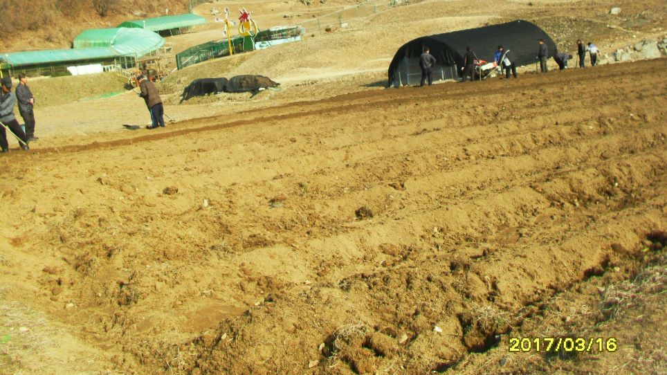 믿음의 텃밭에 소망심기