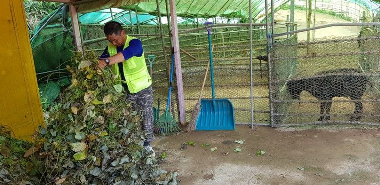 염소 사장님 탄생!