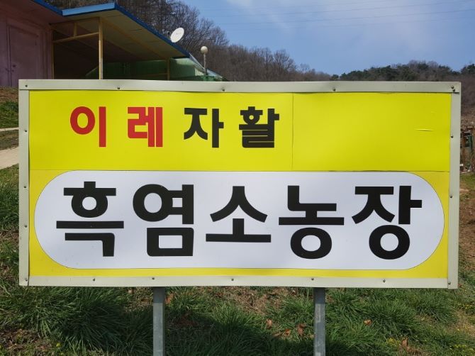 몸에 좋은 흑염소