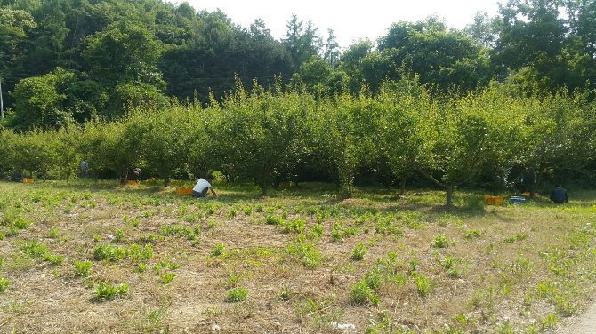 우리 마을를 사랑하자!