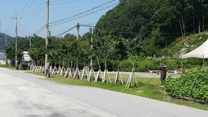 담임목사님과 윤ㅇㅇ집사 교회 주차장 환경미화